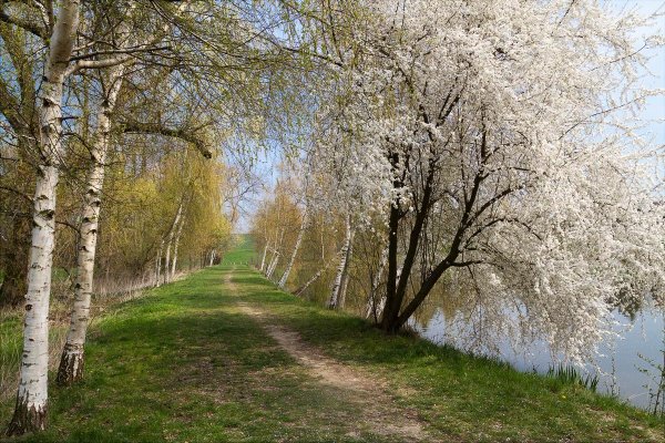 Русская природа весной