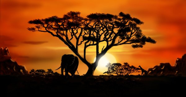 Саванны Австралии