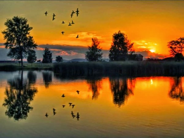 Природа закат