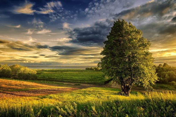 Багряный рассвет