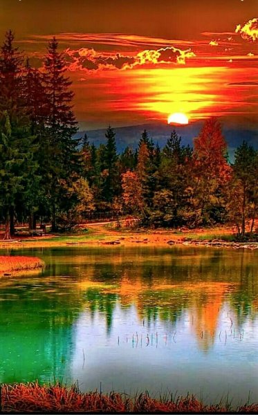 Красивый рассвет