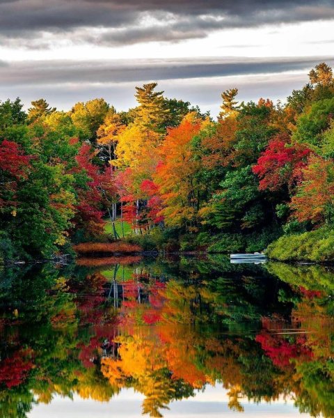 Природа осенью