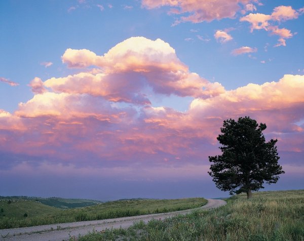 Сергея Есенина спит ковыль. Равнина дорогая