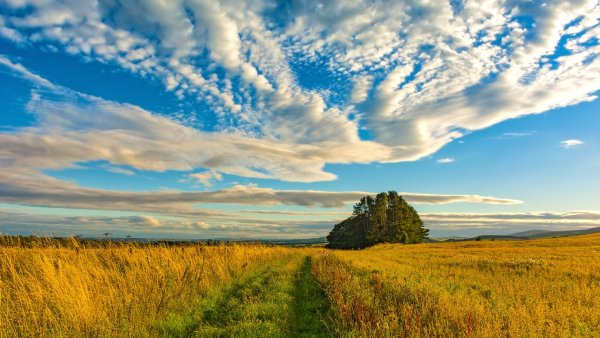 Пейзажи России