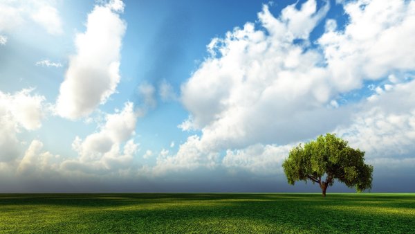 Красивая природа небо