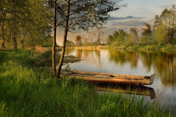 Пейзаж пруд