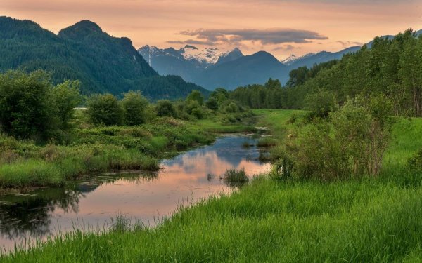Пейзаж Долины реки