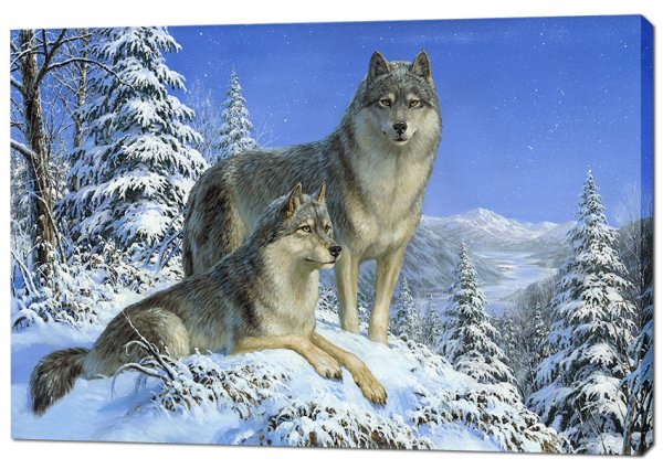 Пейзаж волки горы