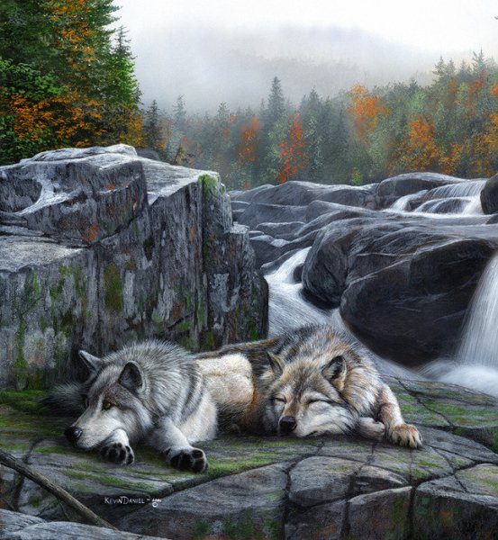 Картина Волчья семья художник