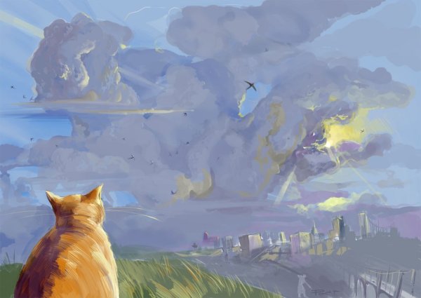 Небесный кот