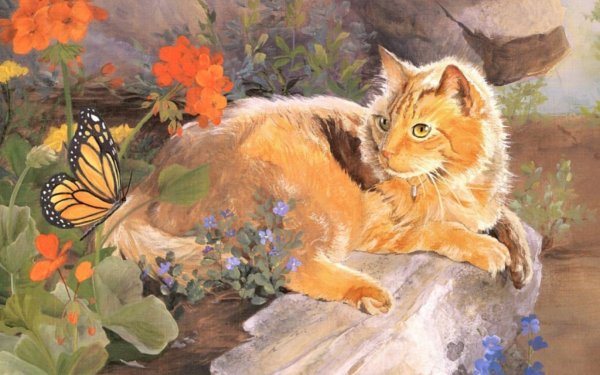 Paintboy «кот и его мечты»