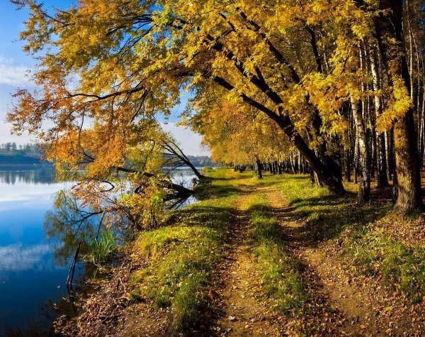 Осенний пейзаж Россия