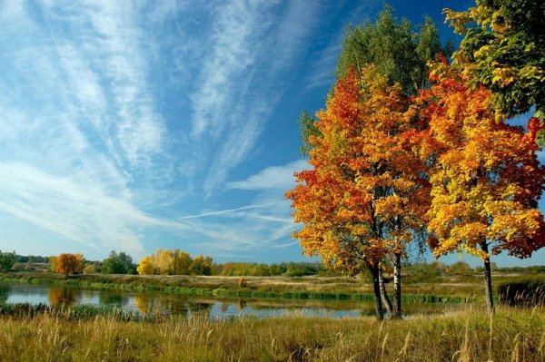 Природа России Золотая осень