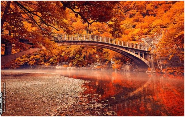 Осенний мост