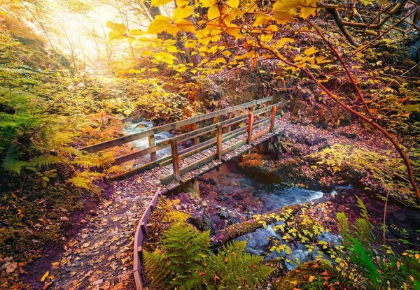 Осенний ручей