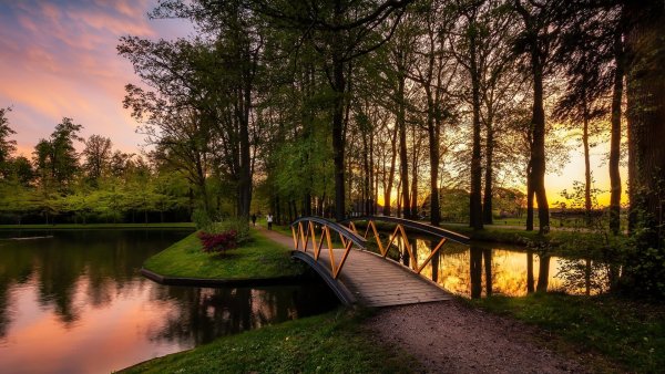 Пейзаж парк