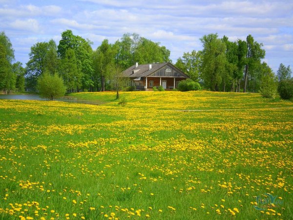 Деревня золотой луг Невьянск