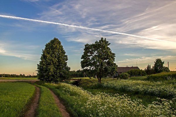 Деревенская природа