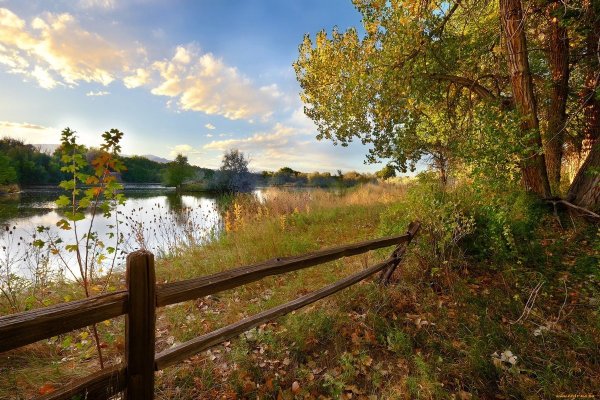 Село природа река лес деревня