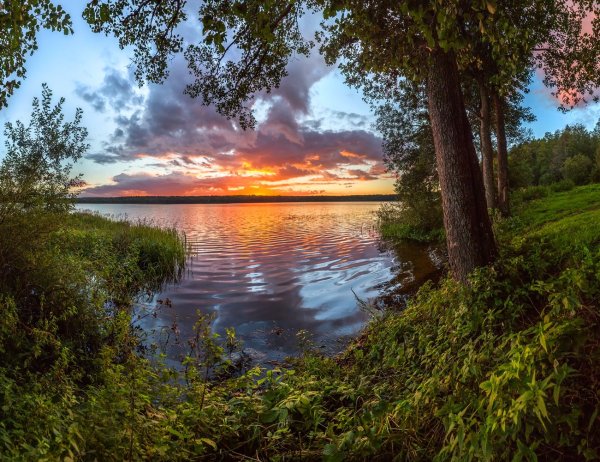 Федор Лашков Ленинградская область