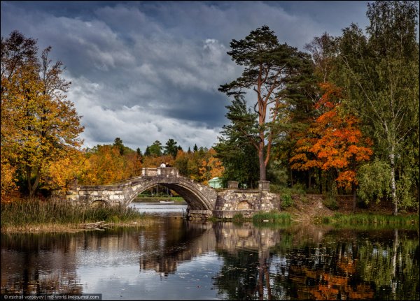 Парк в Ленинградской области
