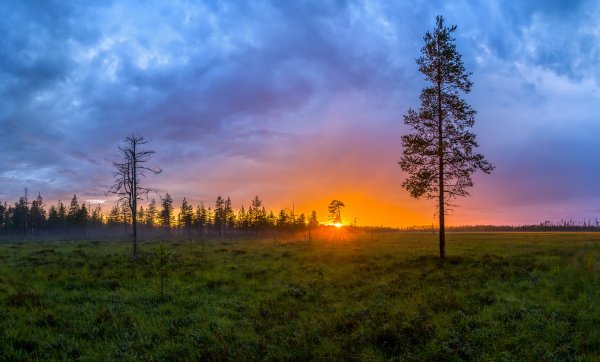 Ленинградская область природа Ленинградской области