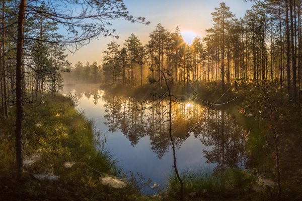 Фёдор Лашков фотограф