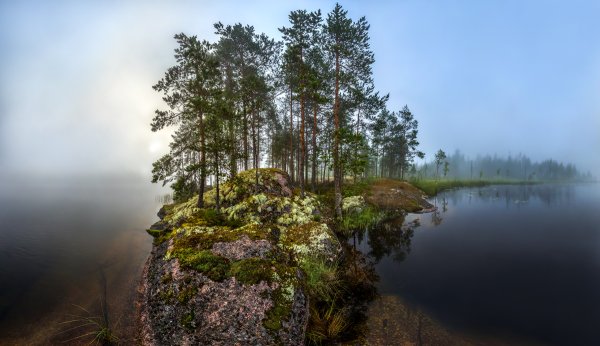 Река Вуокса Сосновый лес