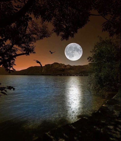 Луна и солнце на небе одновременно