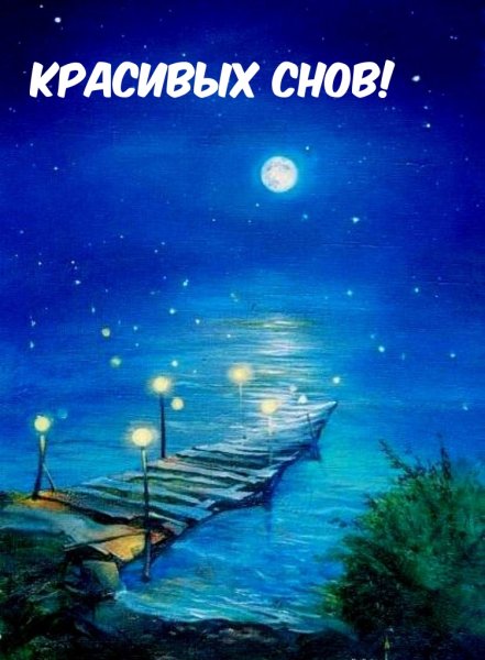 Поляна в лесу ночью