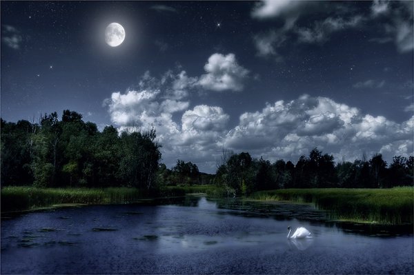 Волшебная ночь