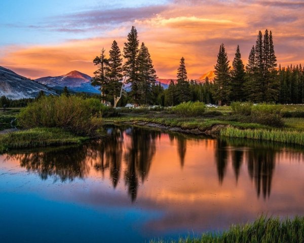 Пейзажи природы