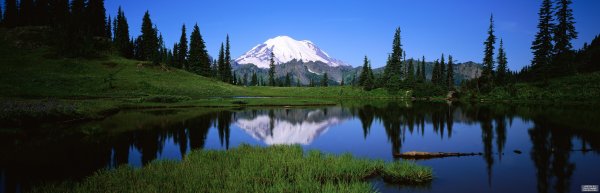 Красивая панорама природы