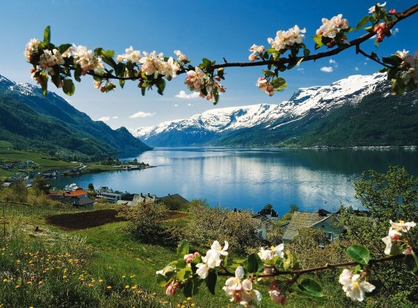 Швеция Альпийские Луга