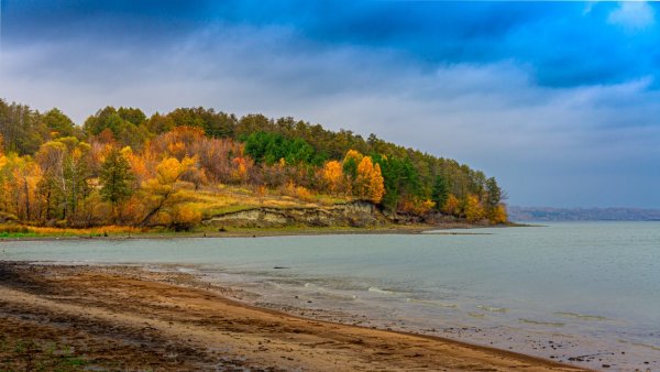 Сурское водохранилище Пензенская область