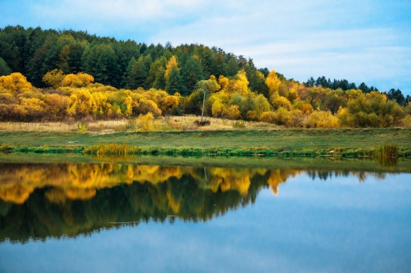 Природа Сурского края