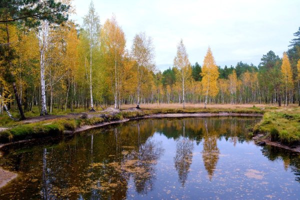 Природа Сурского края Пензенской области