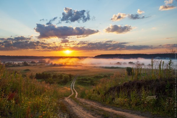 Тамбов природа