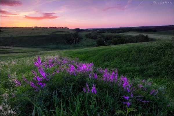 Крапивенский заказник