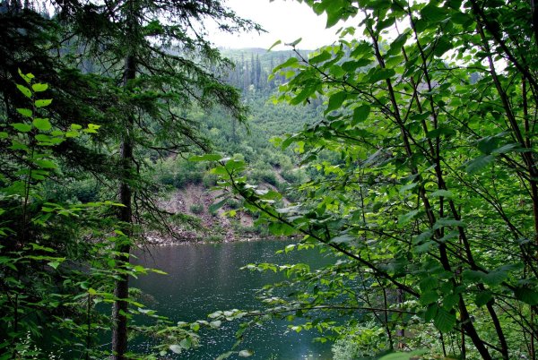 Природа солнечного района Хабаровского края