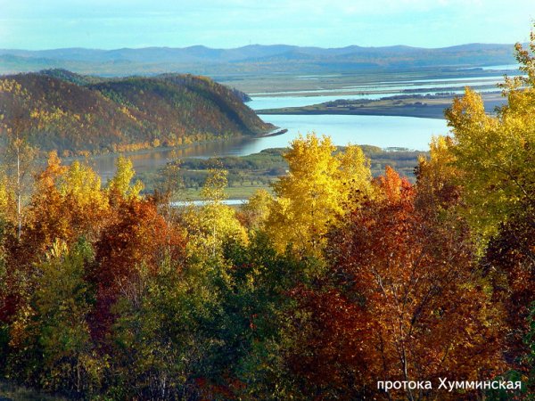 Природа Комсомольского района Хабаровского края