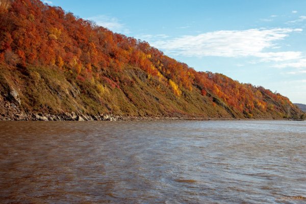 Река Амур Хабаровск