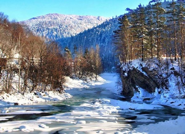 Тайга Хабаровского края зима