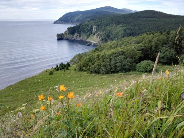 Цветущая Поляна Советская гавань
