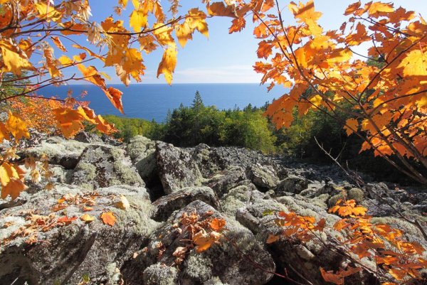 Хабаровский край сопки осенью