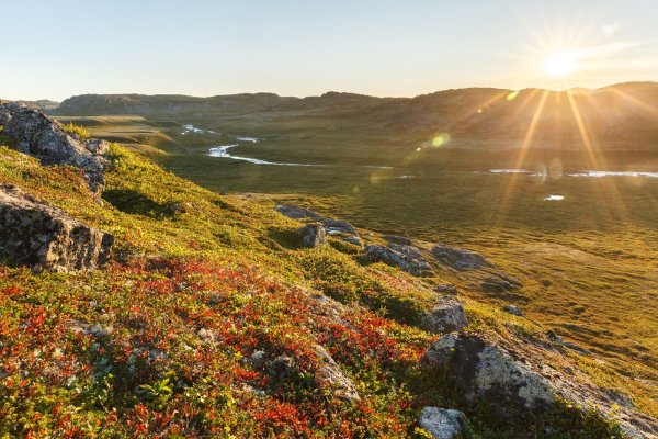 Сопки Кольского полуострова