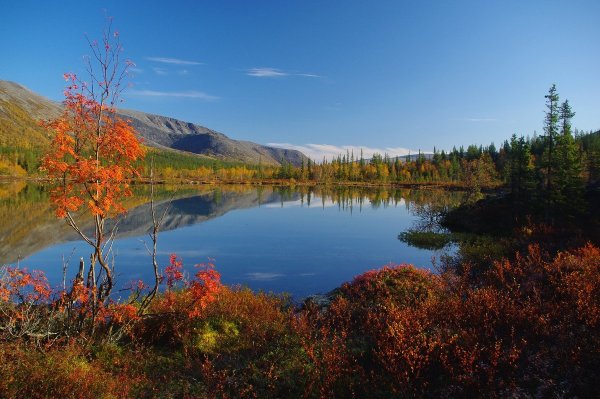 Кольский полуостров Хибины осень