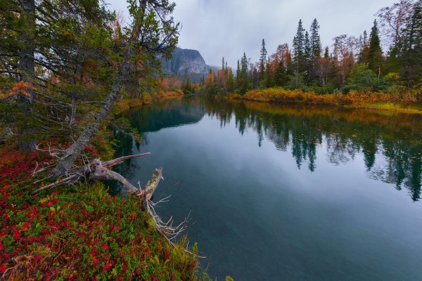 Ловозеро Кольский полуостров