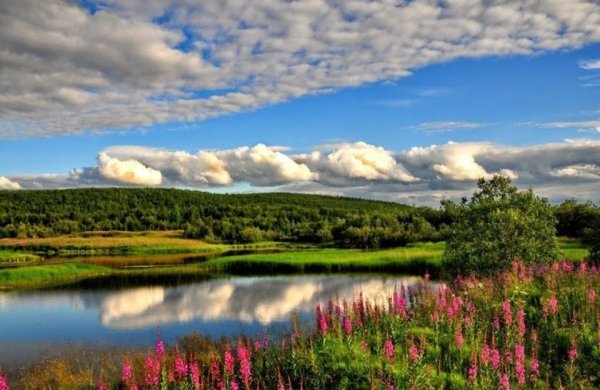 Мурманск природа