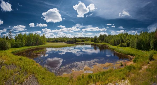 Сибирь Тюмень природа